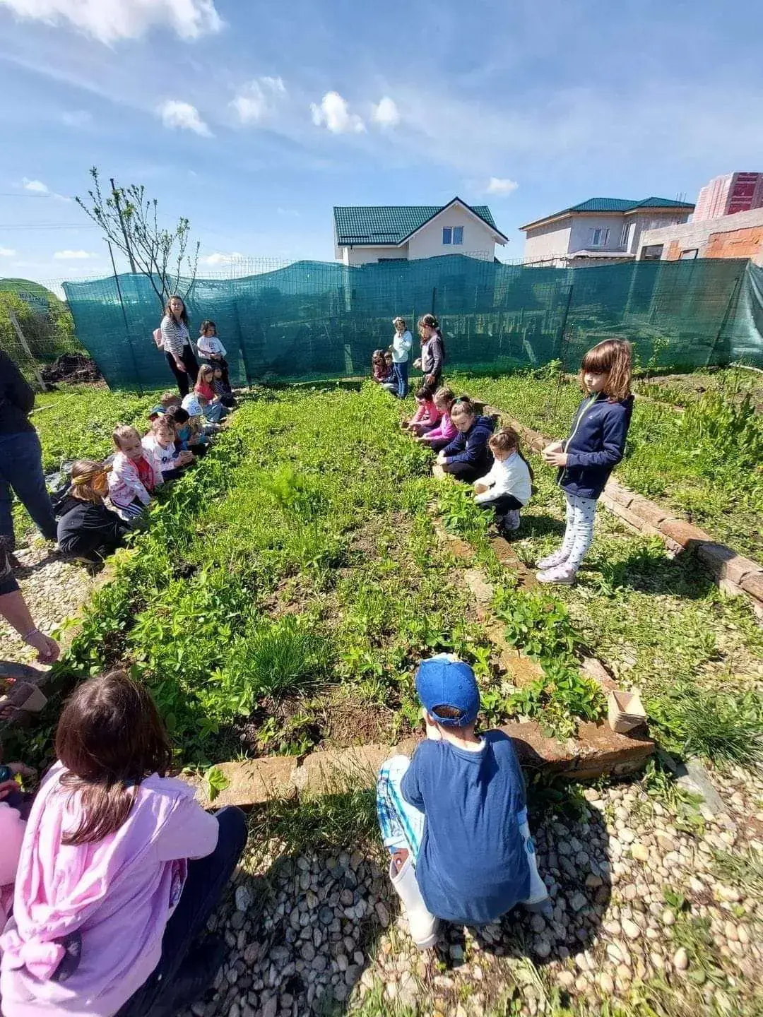 SEEDS Afterschool: grădina de legume SEEDS