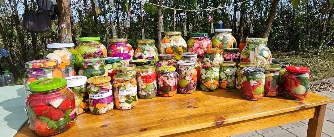 SEEDS Afterschool: borcane cu murături și zacuscă de casă